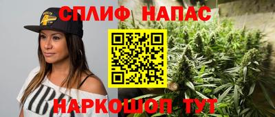 стафф Гай