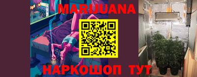 стафф Гай