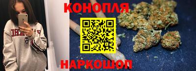 стафф Гай