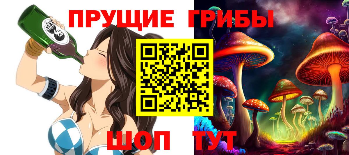 Галлюциногенные грибы Magic Shrooms  Вход с VPN  Тайшет  Псилоцибиновые грибы Psilocybe 